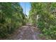 Wooded path featuring a peaceful canopy of trees creating a serene and private drive at 16249 Se 162Nd Ct, Weirsdale, FL 32195