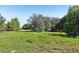 Large land parcel featuring a spacious open area with trees at 16249 Se 162Nd Ct, Weirsdale, FL 32195
