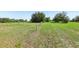 Expansive lush grassy lot with old wooden fence posts outlining the property at 16249 Se 162Nd Ct, Weirsdale, FL 32195
