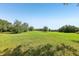 Sprawling green field with mature trees offering a tranquil and expansive setting at 16249 Se 162Nd Ct, Weirsdale, FL 32195