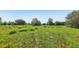 Rolling green lot offering lots of space and privacy with a natural landscape at 16249 Se 162Nd Ct, Weirsdale, FL 32195