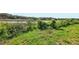 Natural vegetation along a pond's edge, providing a scenic view and habitat for local wildlife at 16249 Se 162Nd Ct, Weirsdale, FL 32195