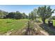 Green lot with a rustic boundary marker adding character to the natural setting at 16249 Se 162Nd Ct, Weirsdale, FL 32195