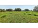 Lush green lot providing room to roam and explore with a natural landscape at 16249 Se 162Nd Ct, Weirsdale, FL 32195