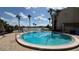 Community pool with palm trees and a lake view, surrounded by lounge chairs at 592 Orange Dr # 142, Altamonte Springs, FL 32701