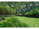 Expansive backyard with lush green grass and mature trees offering shade at 915 Oregon St, Orlando, FL 32803