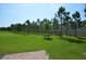 Well-maintained backyard with a border of mature landscaping and healthy green grass at 971 Desert Candle Dr, Ocoee, FL 34761