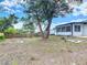 Backyard featuring mature trees, grass, and a partial view of the home's exterior at 1113 Leeward Dr, Deltona, FL 32738