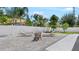 The backyard offers a tranquil retreat with a spacious patio, mature trees and ample space for outdoor relaxation at 11257 Dacre Ln, Orlando, FL 32824