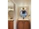 Updated bathroom with double sinks, wood vanities, round mirrors and modern lighting at 115 Tomoka Trl # 115, Longwood, FL 32779