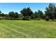Expansive lush backyard features mature trees providing shade and privacy at 1513 Maidstone Ct, Davenport, FL 33896