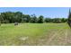 Expansive grassy backyard offering plenty of open space and privacy at 2633 Pickett Downs Dr, Chuluota, FL 32766