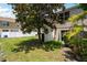 Spacious backyard featuring green lawn, privacy fence, shade trees, and tropical landscaping at 3112 Seaview Castle Dr, Kissimmee, FL 34746