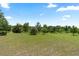 Expansive green space with scattered trees, offering a serene and open environment at 5515 Windsong Oak Dr, Leesburg, FL 34748