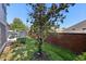 Well-manicured lawn and privacy fence enclosing the backyard at 585 Cruz Bay Cir, Winter Springs, FL 32708