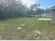 Spacious grassy backyard with scattered trees and a view of a neighboring home at 74 Malauka Pass, Ocklawaha, FL 32179