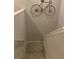 Clean stairwell with carpeted steps and a decorative bicycle feature at 15708 Orange Harvest Loop, Winter Garden, FL 34787