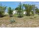 Front yard with agave, bamboo trees and a white ranch home in the background at 1100 Peak Cir, Deltona, FL 32738