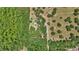 Aerial view showcasing large property with mature trees and an idyllic pond at 16758 Ne 135Th Ave, Fort Mc Coy, FL 32134
