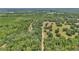 Aerial view of serene property with a long private drive and surrounded by mature trees at 16758 Ne 135Th Ave, Fort Mc Coy, FL 32134