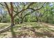 Exterior image of a swing hanging from a mature tree at 16758 Ne 135Th Ave, Fort Mc Coy, FL 32134