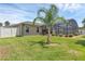 Green backyard with healthy green lawn, small palm tree, and screened in pool area attached to the house at 445 Oakland Park Blvd, Port Orange, FL 32127