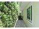A side yard lined with privacy hedges and white pebbles offering a clean and modern aesthetic at 507 N Peninsula Ave, New Smyrna Beach, FL 32169