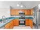 Kitchen features stainless steel appliances and solid countertops at 13146 Odyssey Lake Way, Orlando, FL 32826