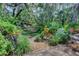 Tranquil backyard with lush landscaping and a variety of plants at 2935 Greenwood Springs Loop, Lake Mary, FL 32746