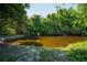 Backyard pond surrounded by lush landscaping, offering a serene outdoor view at 602 Nighthawk Cir, Winter Springs, FL 32708
