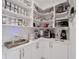 Well-organized pantry with ample shelving, storage containers, and modern appliances at 8157 Elion St, Orlando, FL 32827