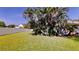 Large, green backyard featuring a lush lawn and surrounded by mature palm trees and white fencing at 100 Demens St, Oakland, FL 34760