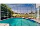An enclosed in-ground pool with attached hot tub, surrounded by lush landscaping and a screened enclosure at 100 Demens St, Oakland, FL 34760