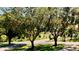Neighborhood street view framed by mature trees and foliage on either side at 100 Demens St, Oakland, FL 34760