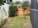 Backyard with privacy fence and flowering trees and other tropical landscaping at 340 Haversham Way, Davenport, FL 33897