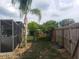 Lush backyard featuring a palm tree, various greenery, and a privacy fence at 340 Haversham Way, Davenport, FL 33897