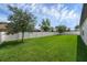 Spacious backyard with lush green grass, mature trees, and a white privacy fence at 9265 Eagles Perch Pl, Orlando, FL 32825