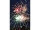 Colorful fireworks illuminate the night sky at 14781 Old Thicket Trce, Winter Garden, FL 34787