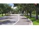 Tree lined community street with American flags at 14781 Old Thicket Trce, Winter Garden, FL 34787