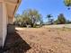 Large backyard with mature trees offering privacy and ample space for outdoor activities at 1742 Willa Cir, Winter Park, FL 32792