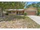 Charming single-story brick home with a well-maintained lawn and a large, mature shade tree in the front yard at 244 Angeles Rd, Debary, FL 32713