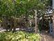 Secluded backyard patio with lush greenery and comfortable seating, ideal for outdoor relaxation at 5127 Leeward Way, Orlando, FL 32809