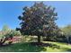 Large magnolia tree adding natural beauty to the lush lawn and landscape at 5127 Leeward Way, Orlando, FL 32809