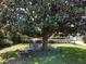 A beautiful yard is home to a wonderful Magnolia tree with a charming swing underneath at 5127 Leeward Way, Orlando, FL 32809