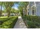 Scenic sidewalk lined with manicured hedges and lush greenery in a residential neighborhood at 5262 Baskin St, Orlando, FL 32814