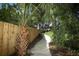 Landscaped yard with a sidewalk lined with palm trees leading up to the house at 1204 Duncan Ct, Longwood, FL 32779