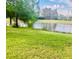 Lush backyard with mature trees, beautiful pond, and well-maintained green grass at 14033 Turning Leaf Dr, Orlando, FL 32828