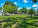 A vibrant backyard with a large green lawn, surrounded by mature trees providing shade and tranquility at 141 S Central Ave, Apopka, FL 32703