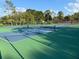 Well-maintained tennis courts offering a recreational amenity for residents and guests at 208 Frinton Cv, Longwood, FL 32779