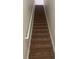 Carpeted stairway leading to upper floors, featuring a handrail and neutral wall paint at 417 Southern Pecan Cir # 201, Winter Garden, FL 34787